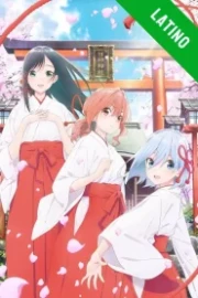 Amagami-san Chi no Enmusubi Español Latino HD