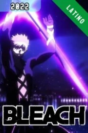 Bleach: Sennen Kessen-hen Español Latino HD