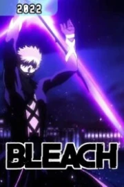 Bleach: Sennen Kessen-hen Sub Español HD