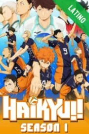 Haikyuu!! Temporada 1 Español Latino HD
