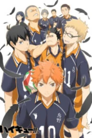 Haikyuu!! Temporada 1 Sub Español HD