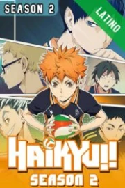 Haikyuu!! Temporada 2 Español Latino HD