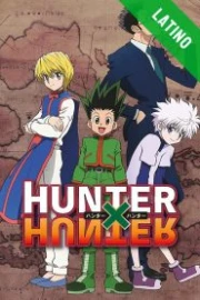 Hunter x Hunter (2011) Español Latino HD
