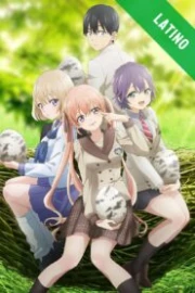 Kakkou no Iinazuke Español Latino HD