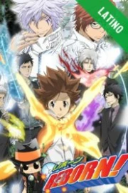 Katekyo Hitman Reborn Español Latino HD