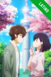 Kekkon suru tte Hontou desu ka Español Latino HD