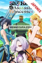 Kizetsu Yuusha to Ansatsu Hime Sub Español HD