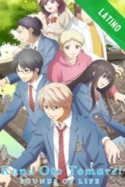 Kono Oto Tomare Español Latino HD