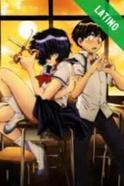 Nazo no Kanojo X Español Latino HD