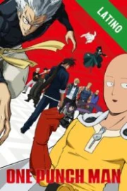One Punch Man Español Latino HD
