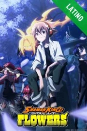 SHAMAN KING FLOWERS Español Latino HD
