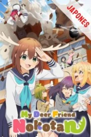 Shikanoko Nokonoko Koshitantan Sub Español HD
