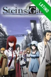 Steins Gate Español Latino HD