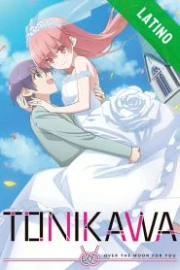 Tonikaku Kawaii Español Latino HD